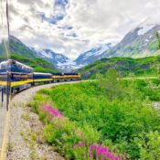 Discover And Explore Breathtaking Adventure At The Alaska Railroad | SUPERPOBYT World