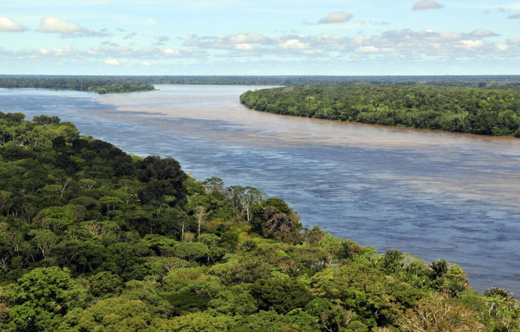 Amazon Jungle Also Called Amazonia Is Considered a Moist Broadleaf Tropical Rainforest In The World