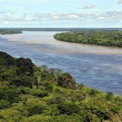 Amazon Jungle Also Called Amazonia Is Considered a Moist Broadleaf Tropical Rainforest In The World | SUPERPOBYT World