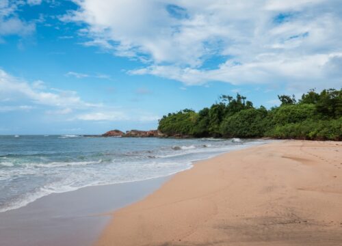 Dominica