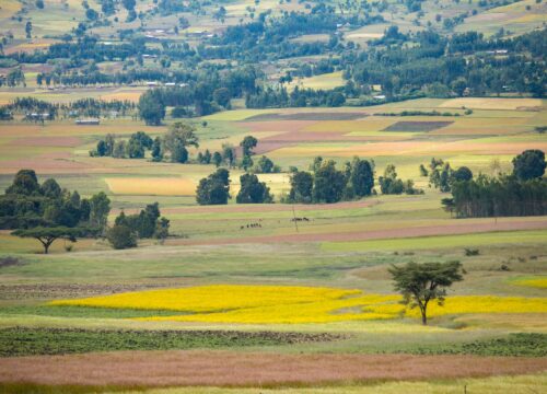 Ethiopia