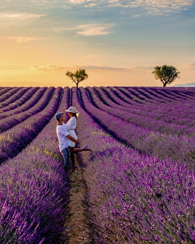 Lavender field and Simiane la Rotonde village. Provence, France | SUPERPOBYT World
