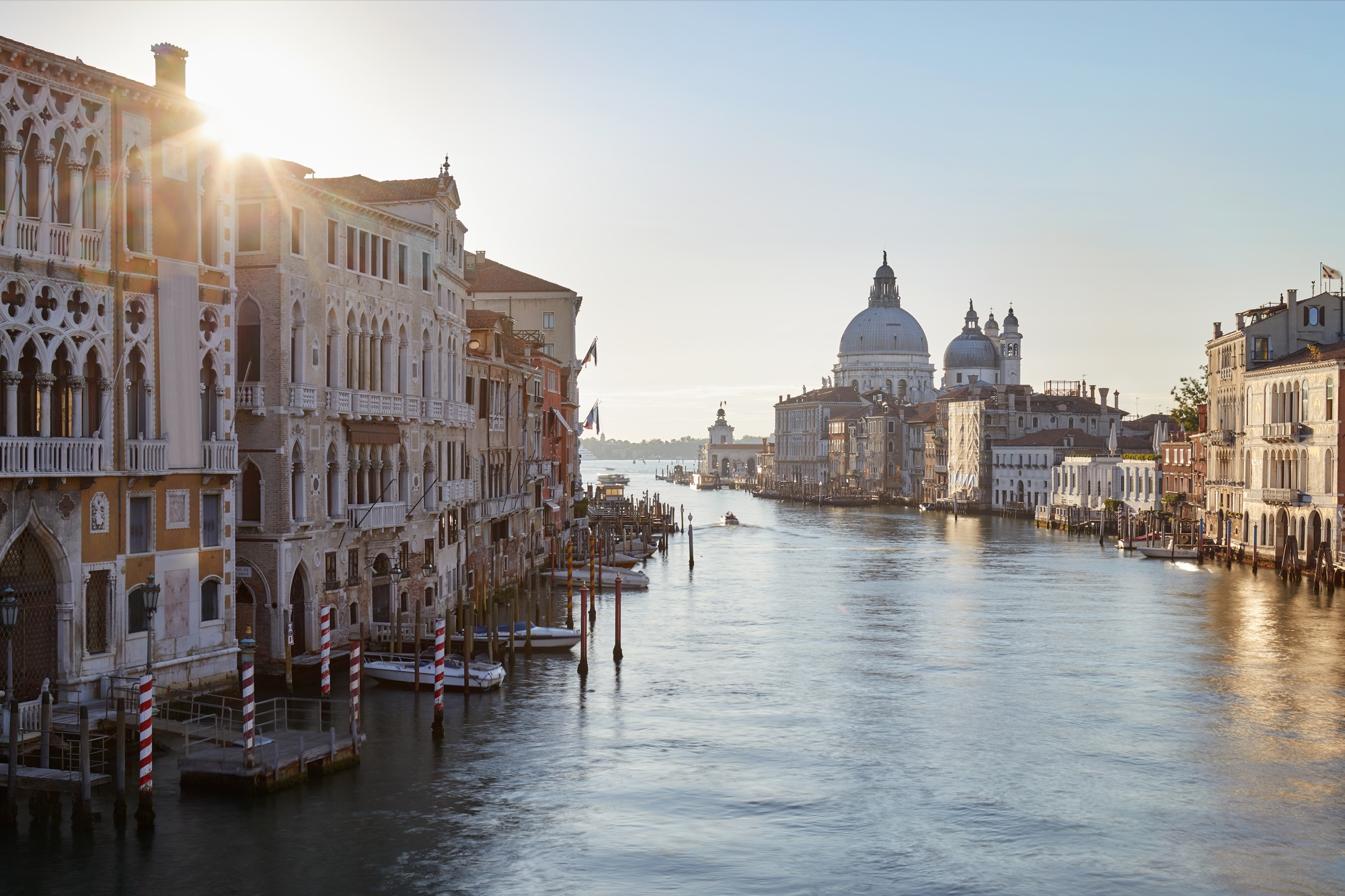 Grand Canal in Venice with Saint Mary of Health basilica, sun in Italy | SUPERPOBYT World