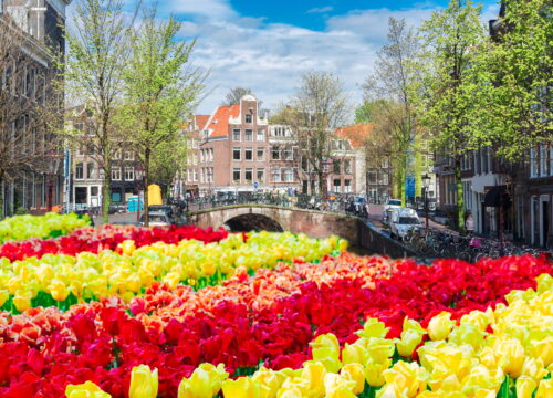 Netherlands