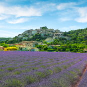Lavender field and Simiane la Rotonde village. Provence, France | SUPERPOBYT World