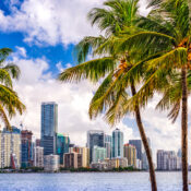 Top Activities to Experience in the Florida Keys,Miami, Florida, USA | SUPERPOBYT World