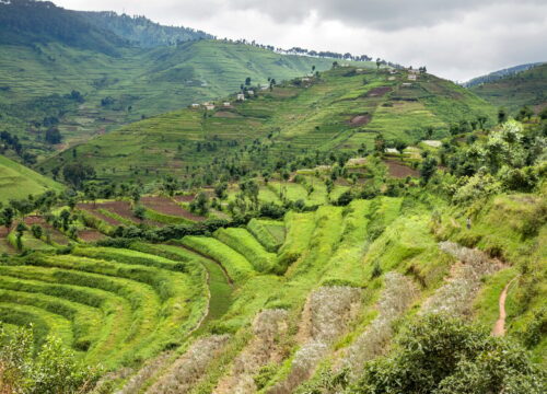 Rwanda