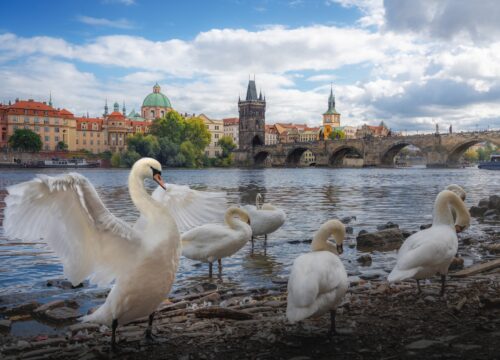 Czech Republic