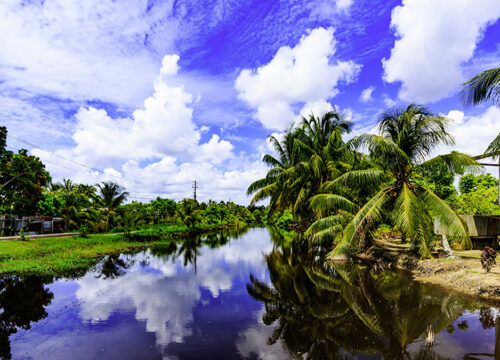 Suriname