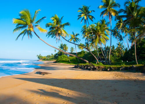 Sri Lanka	