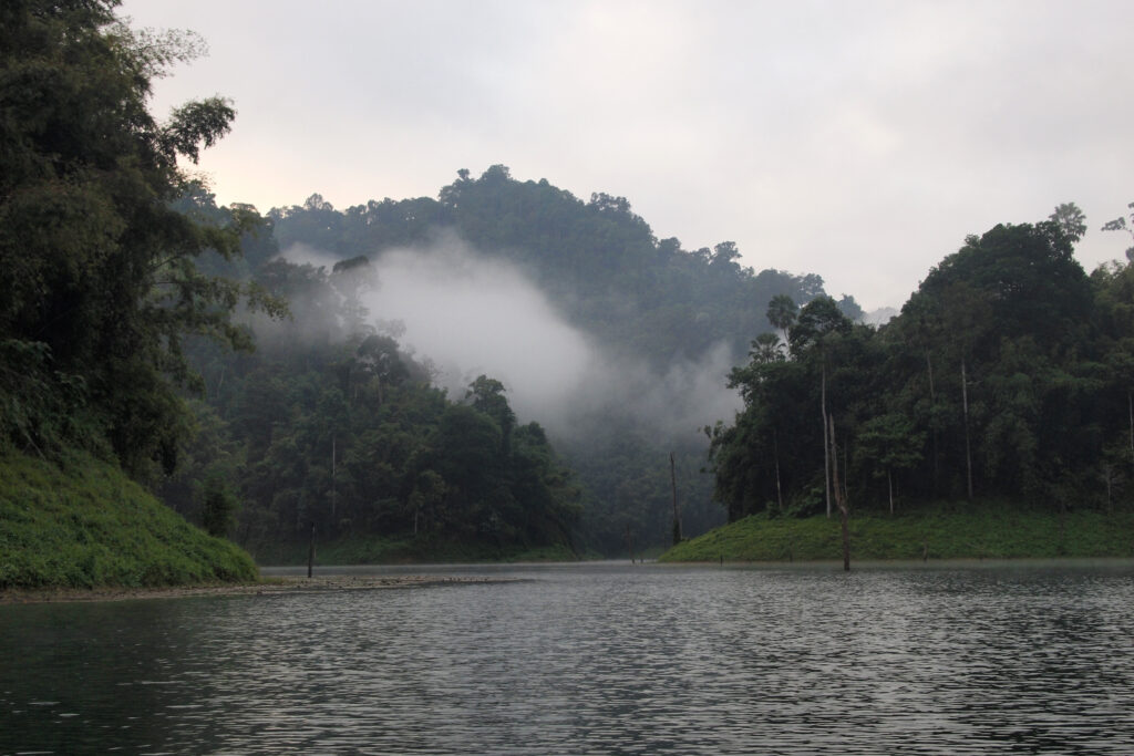 Everything You Need To Know Before And When Is Great To Visiting Khao Sok National Park | SUPERPOBYT World