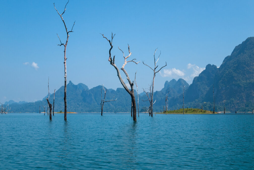 Everything You Need To Know Before And When Is Great To Visiting Khao Sok National Park | SUPERPOBYT World