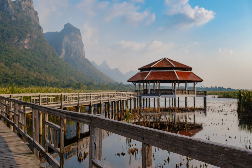Everything You Need To Know Before And When Is Great To Visiting Khao Sok National Park | SUPERPOBYT World