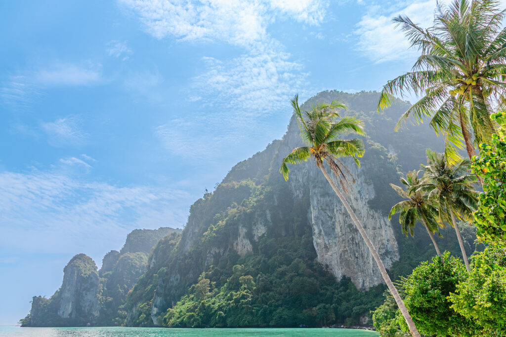 Everything You Need To Know Before And When Is Great To Visiting Khao Sok National Park | SUPERPOBYT World