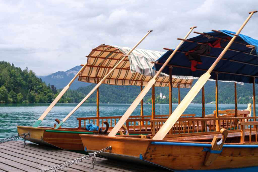 Everything You Need To Know Before And When Is Great To Visiting Khao Sok National Park | SUPERPOBYT World