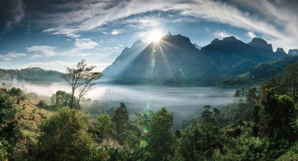 Everything You Need To Know Before And When Is Great To Visiting Khao Sok National Park | SUPERPOBYT World