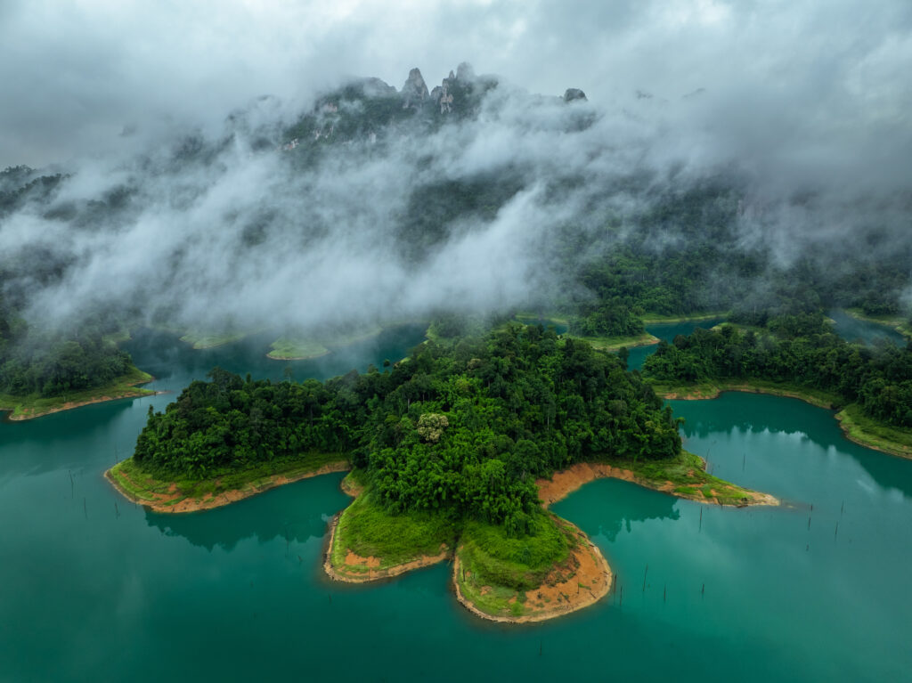 Everything You Need To Know Before And When Is Great To Visiting Khao Sok National Park | SUPERPOBYT World